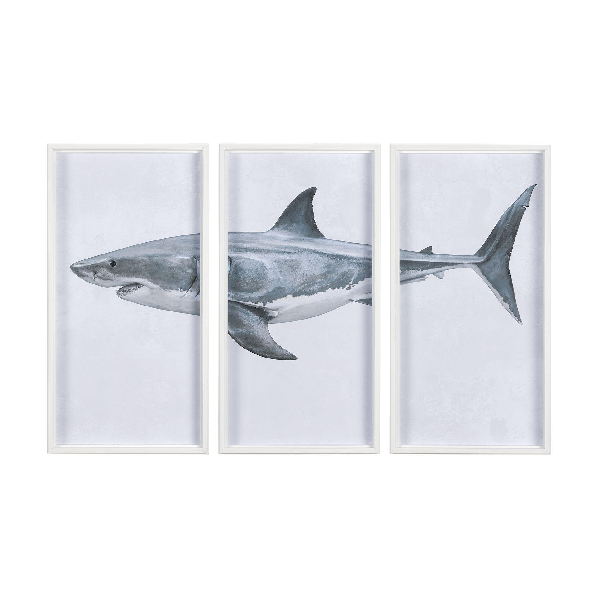 Great White Shark I (22 x 65)