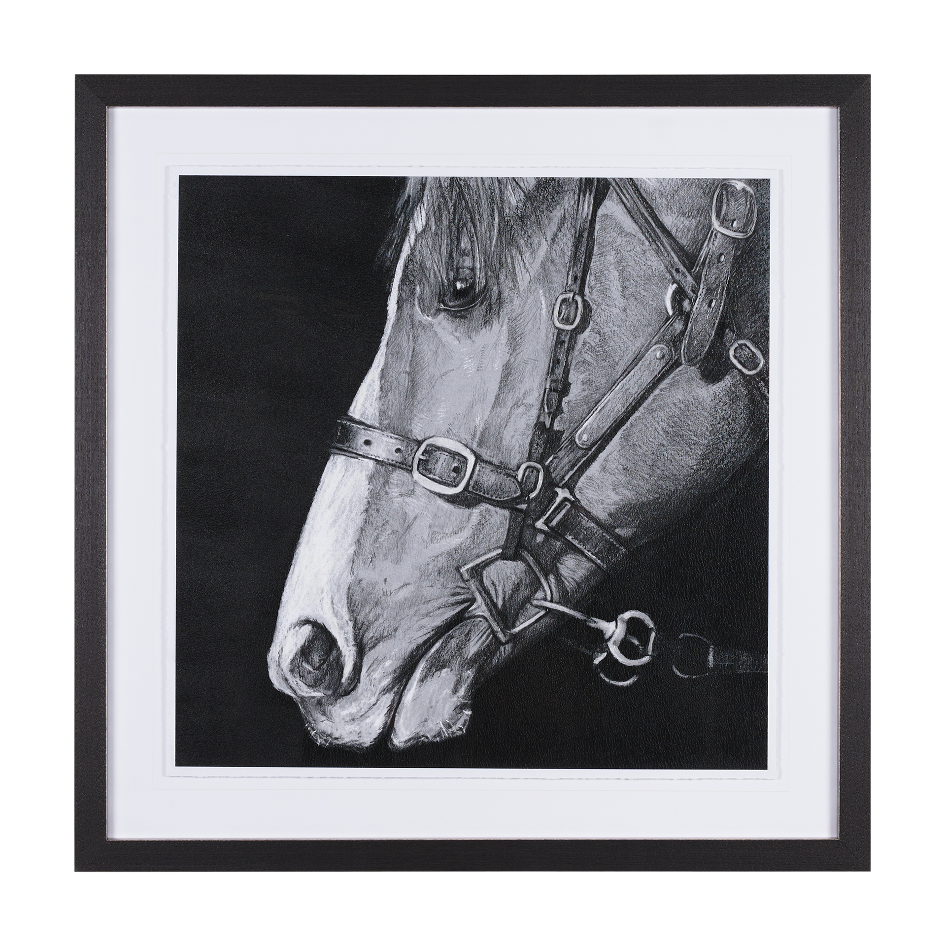 Equestrian Portrait (43 x 43)