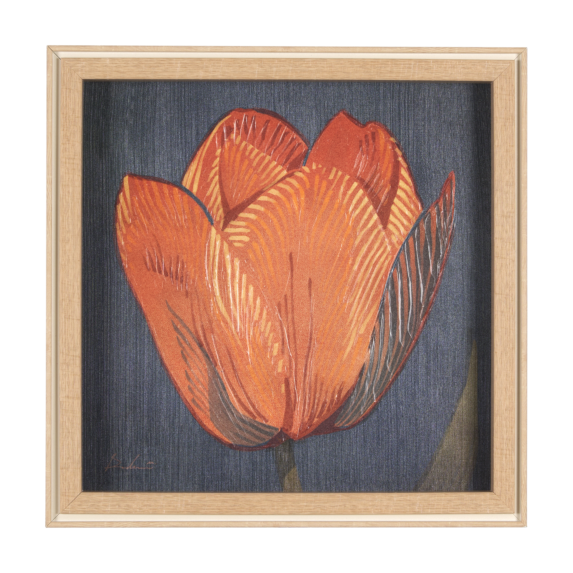Flower Portrait II (Tulip) (22 x 22)