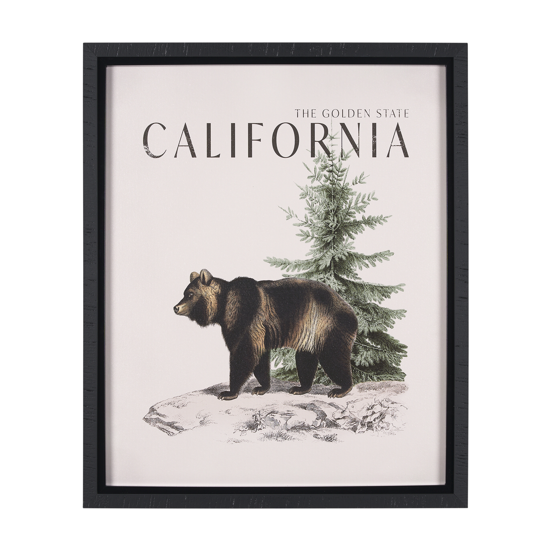Travel Guide - California (26 x 32)