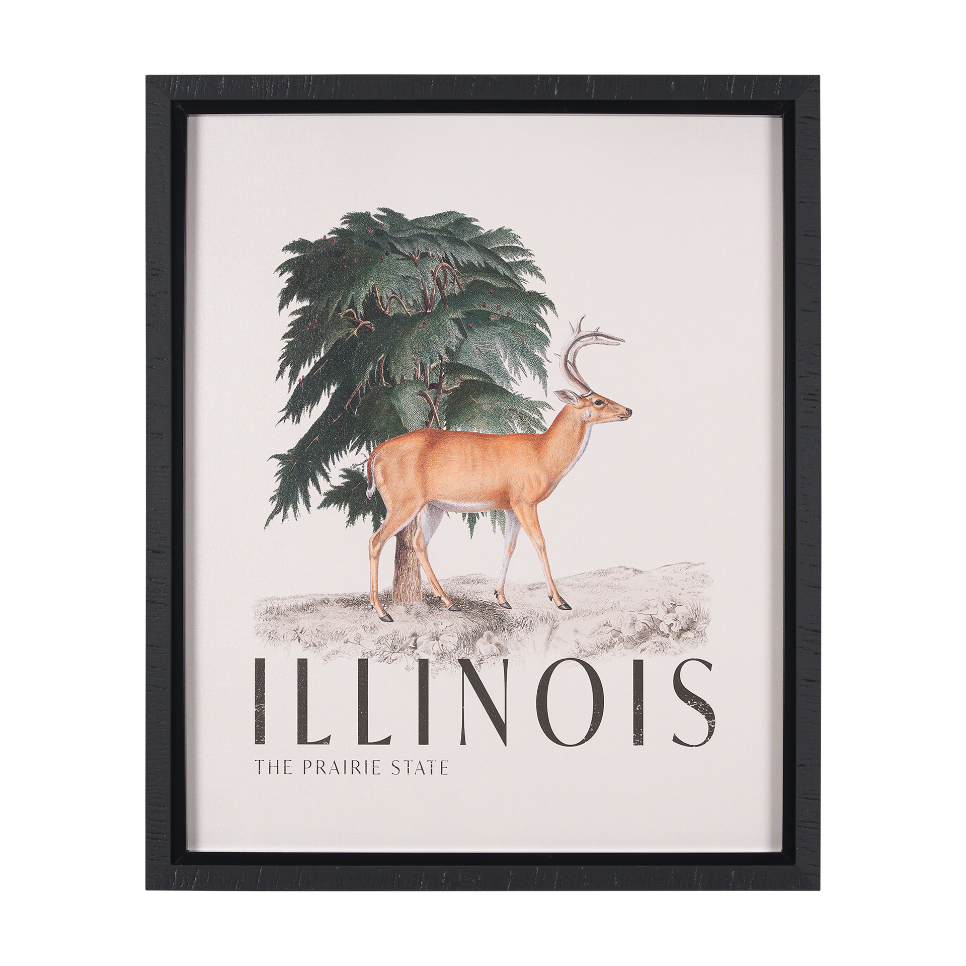 Travel Guide - Illinois (26 x 32)