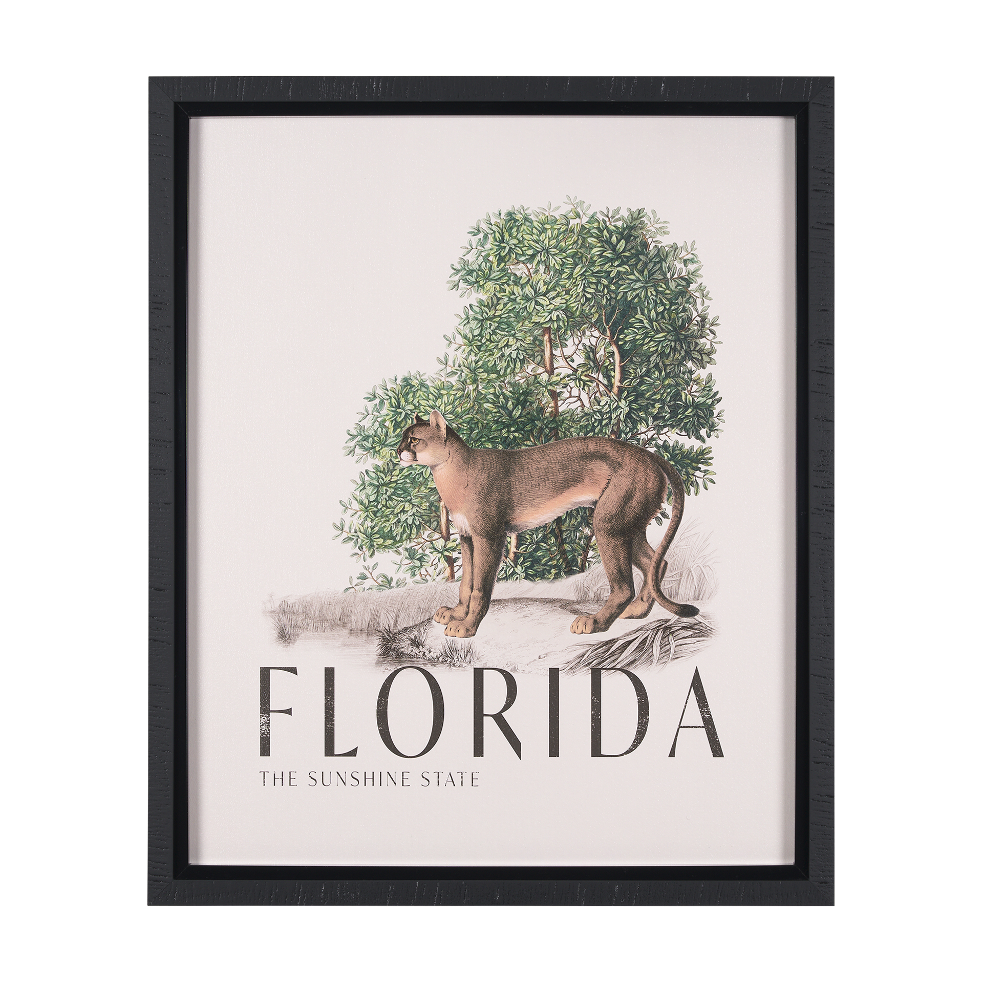 Travel Guide - Florida (26 x 32)