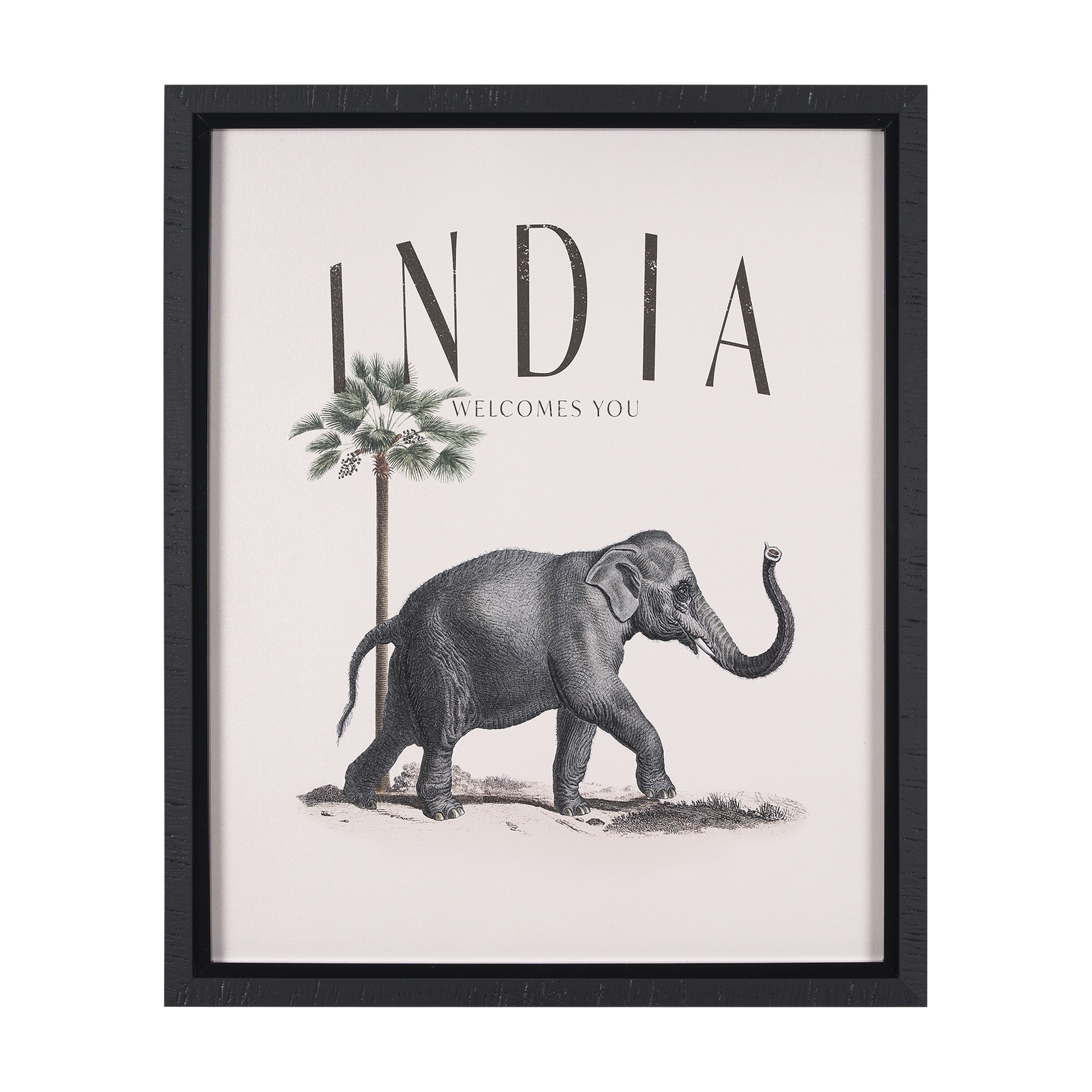 Travel Guide - India (26 x 32)
