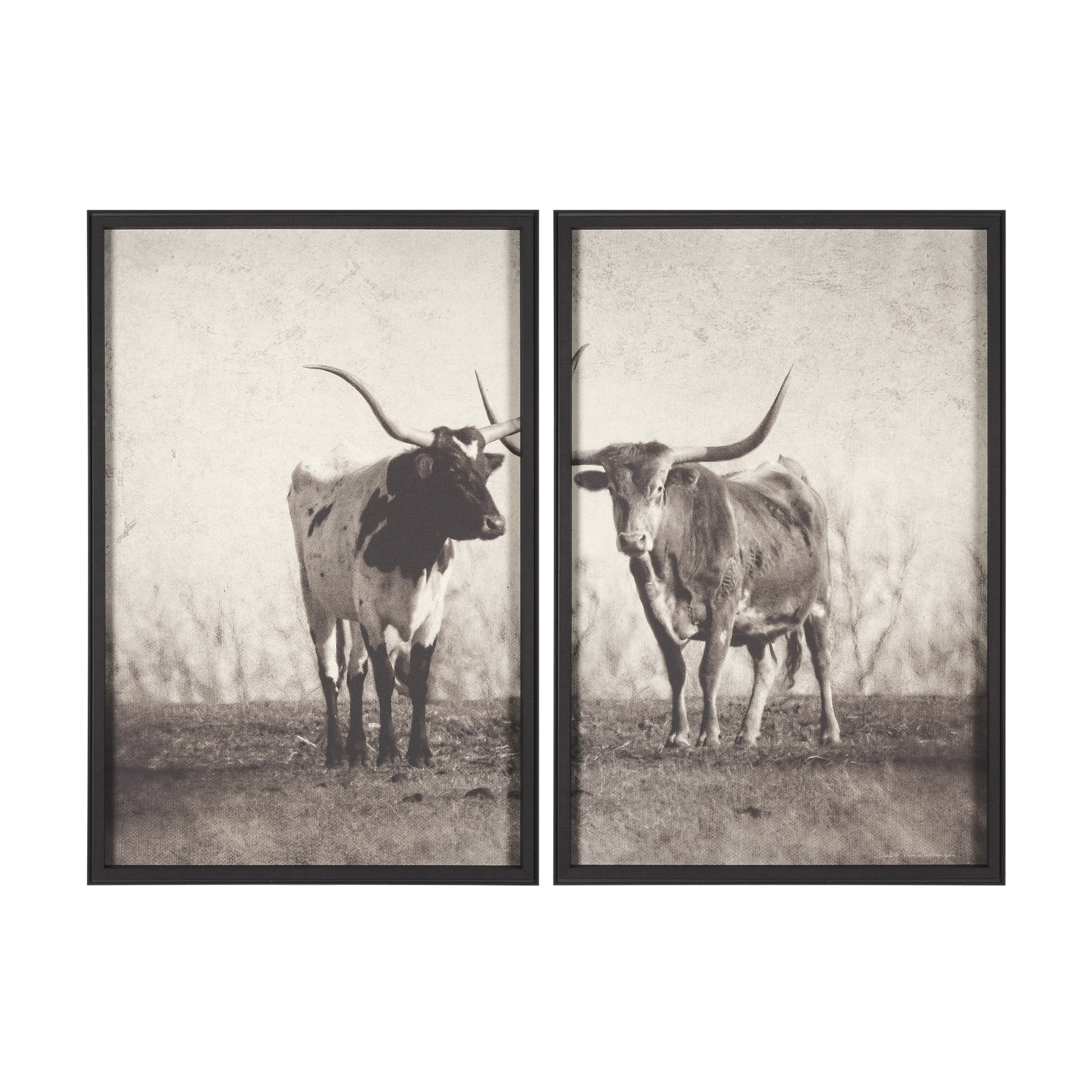 Texas Longhorns (42 x 62)