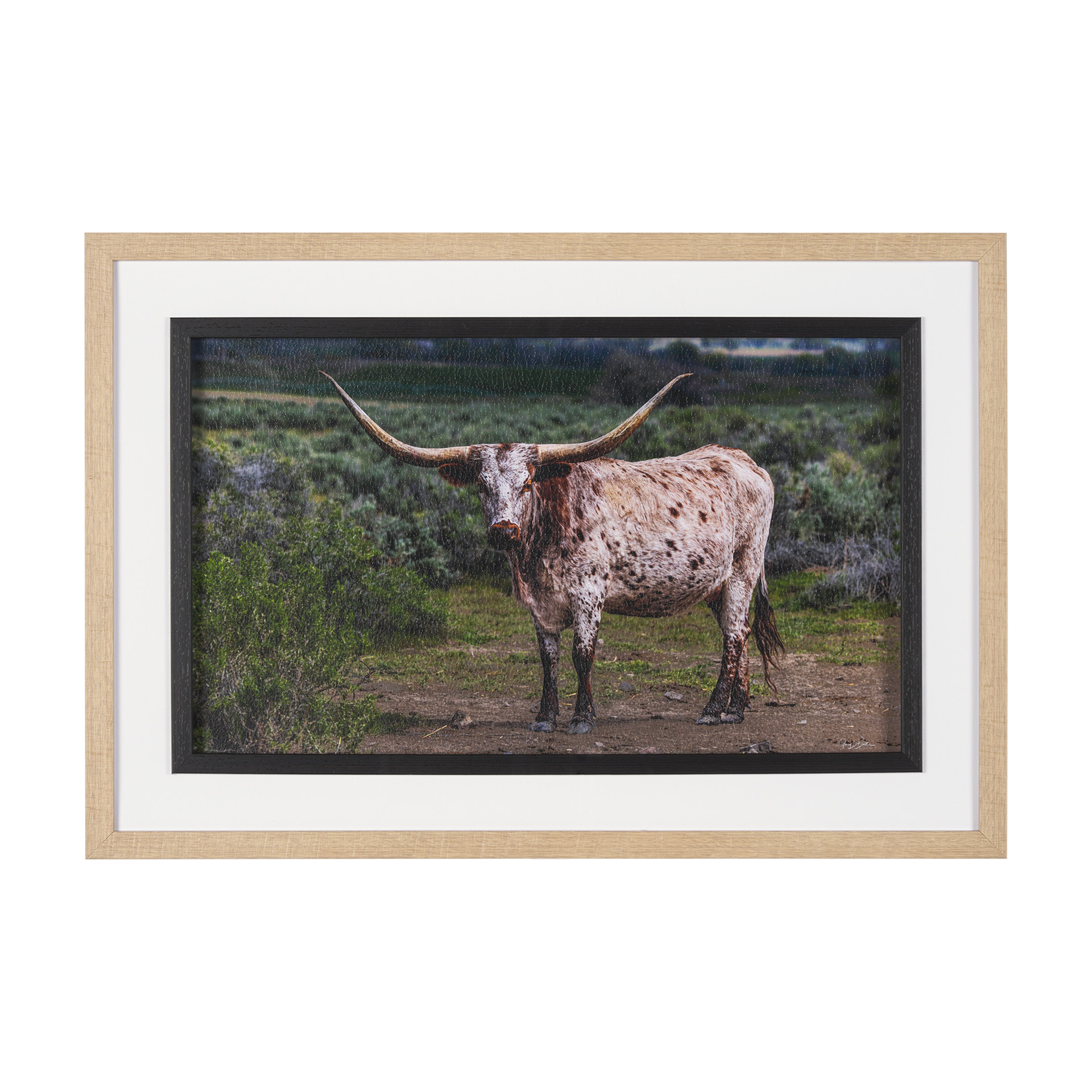 Longhorn 1 (32 x 22)