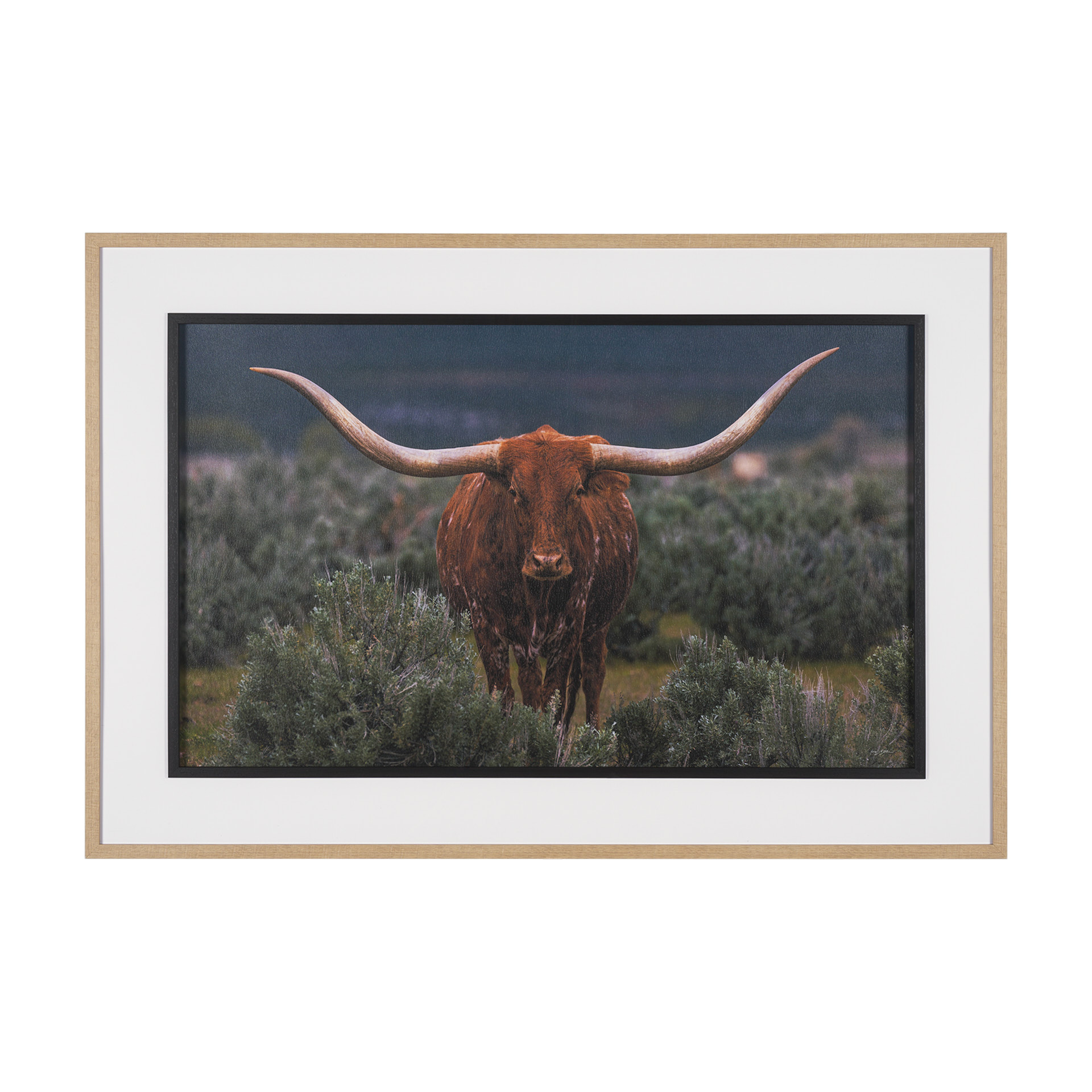 Longhorn 5 (32 x 22)