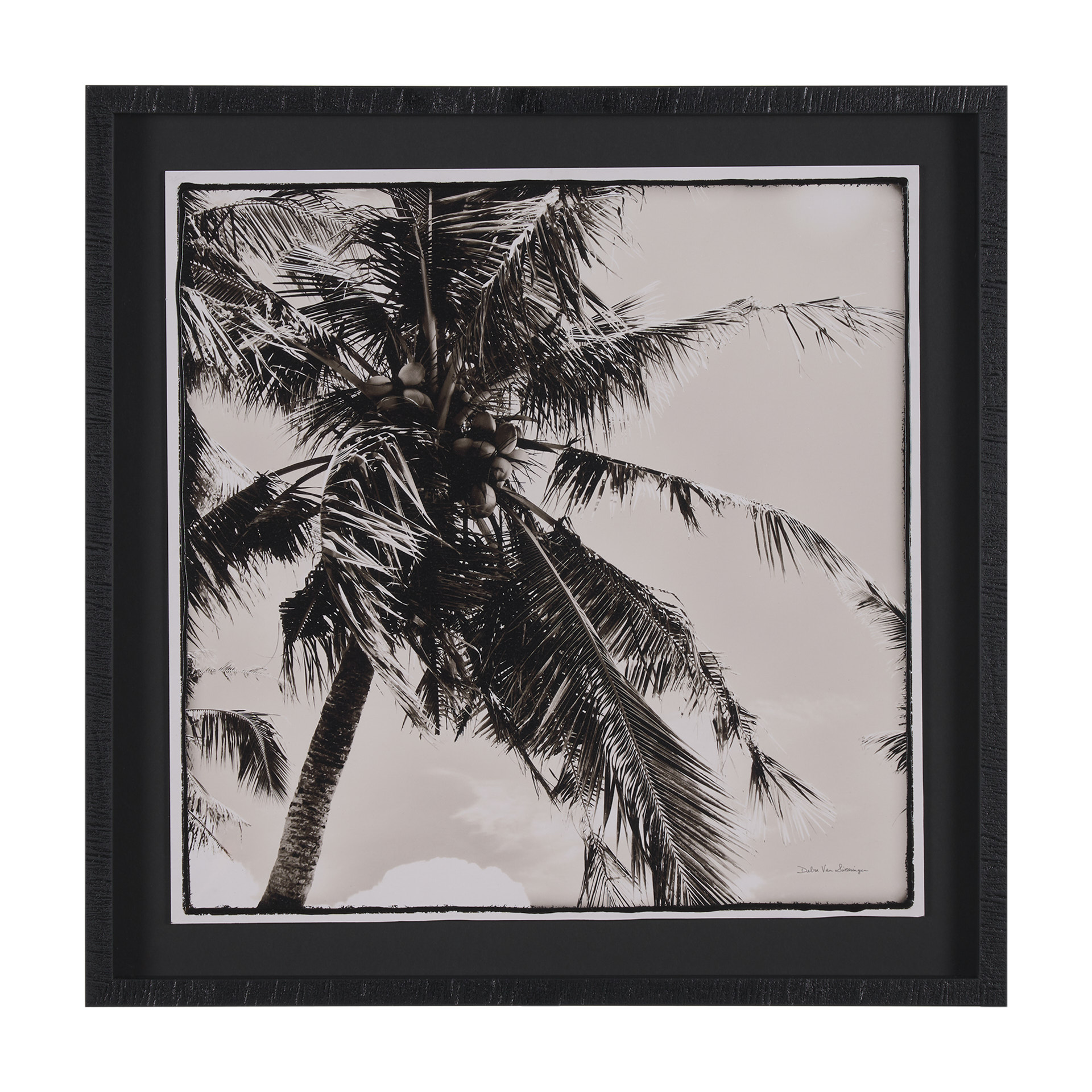 Palm Tree Sepia II (32 x 32)