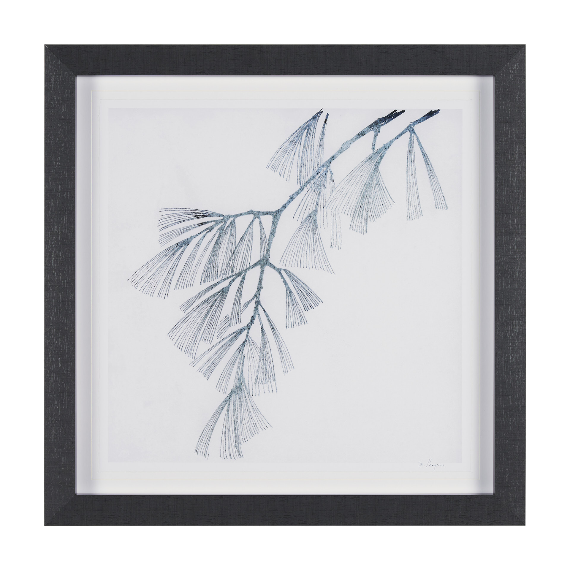 Evergreen Branches II (27 x 27)