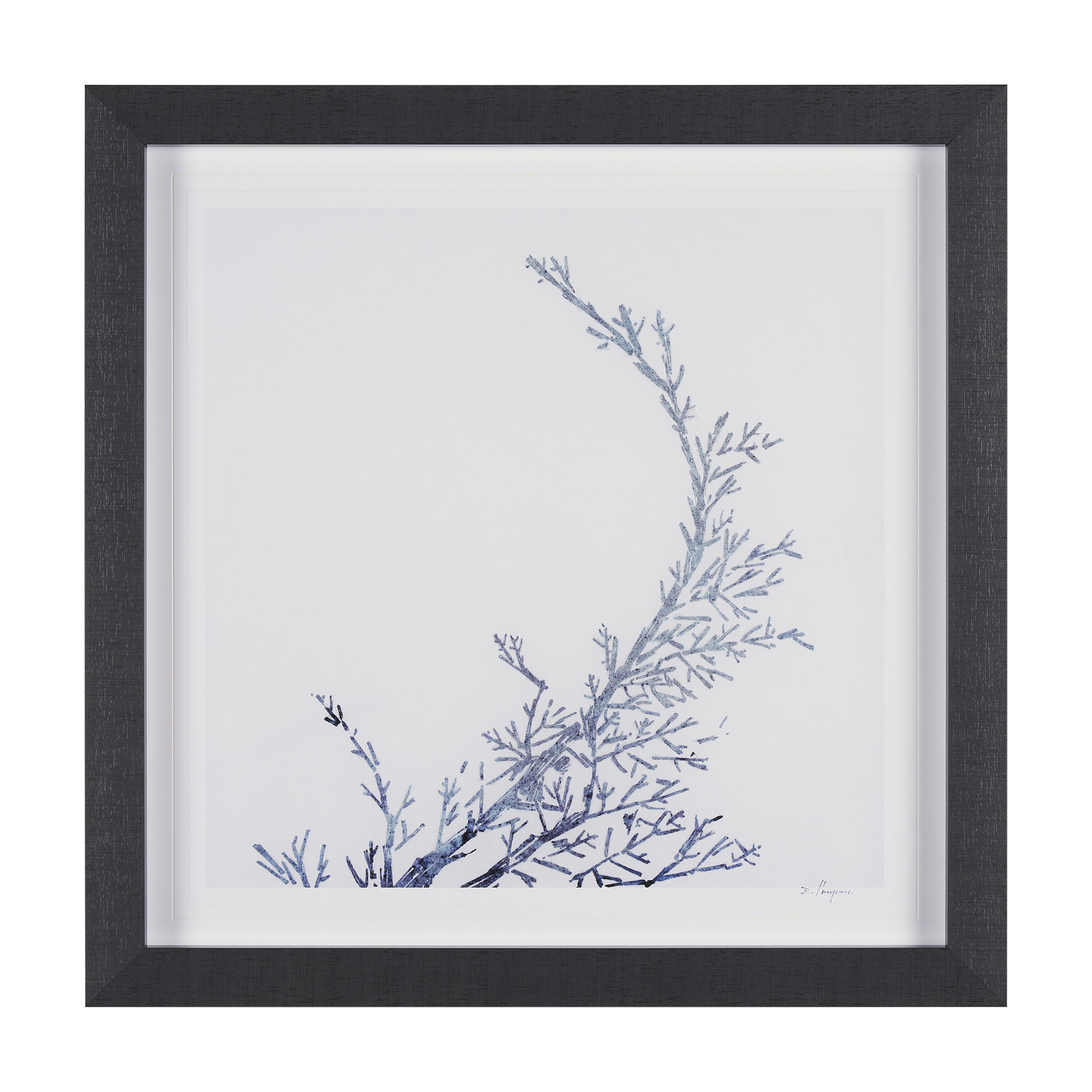 Evergreen Branches IV (27 x 27)