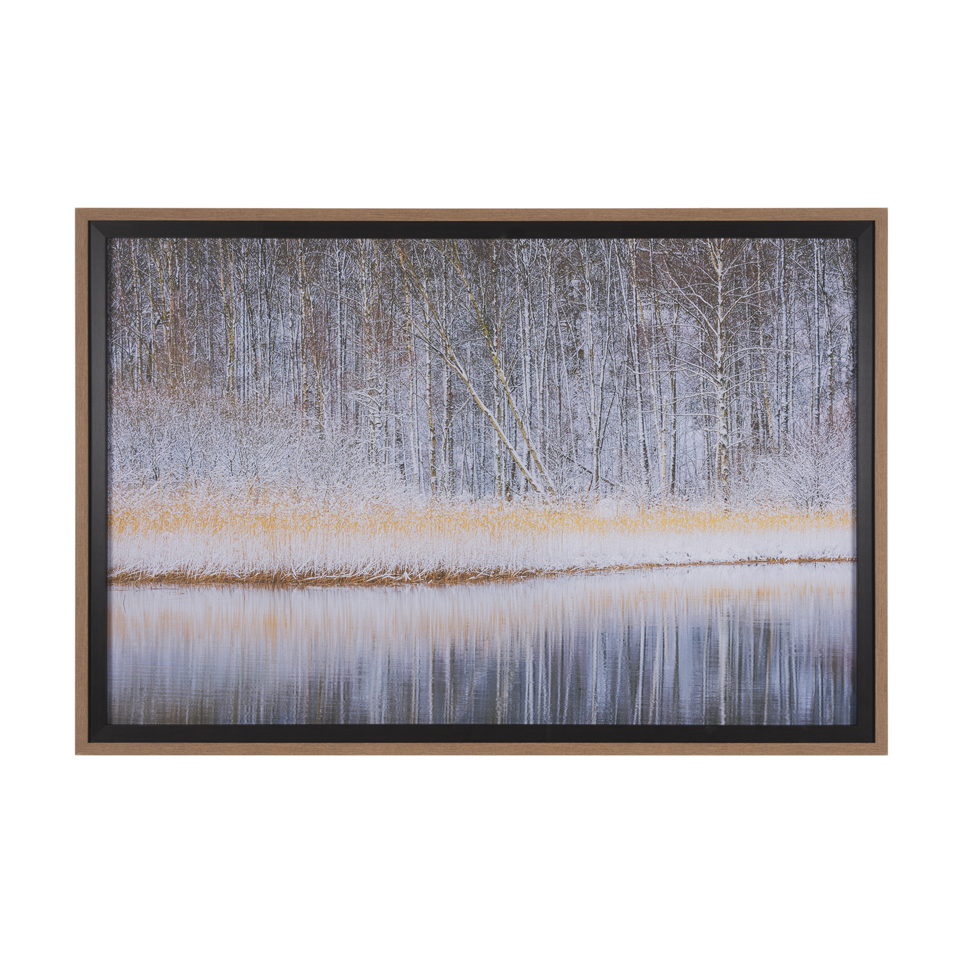 Riverside Reflection - Forest (62 x 42)