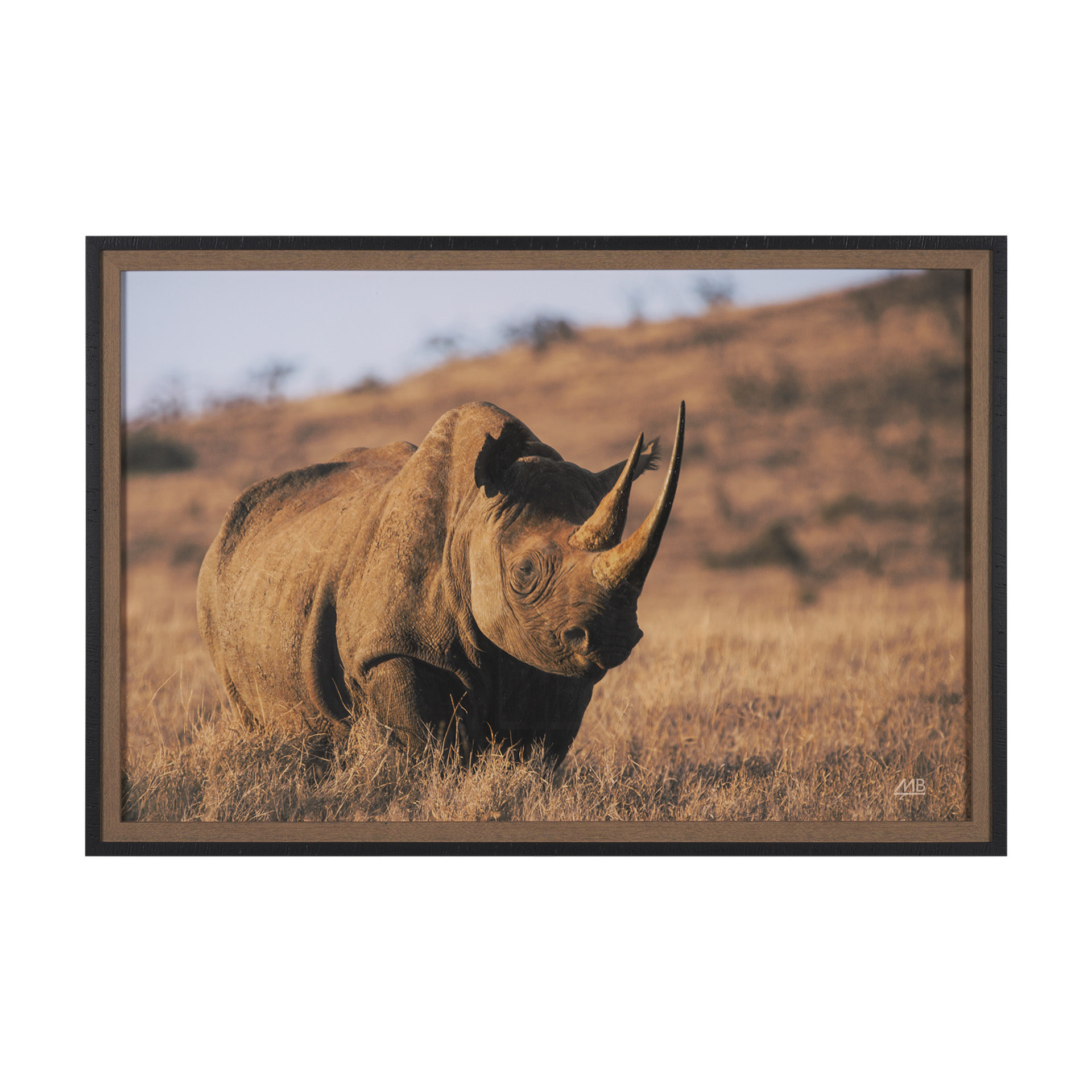 Kenyan Rhino (62 x 42)