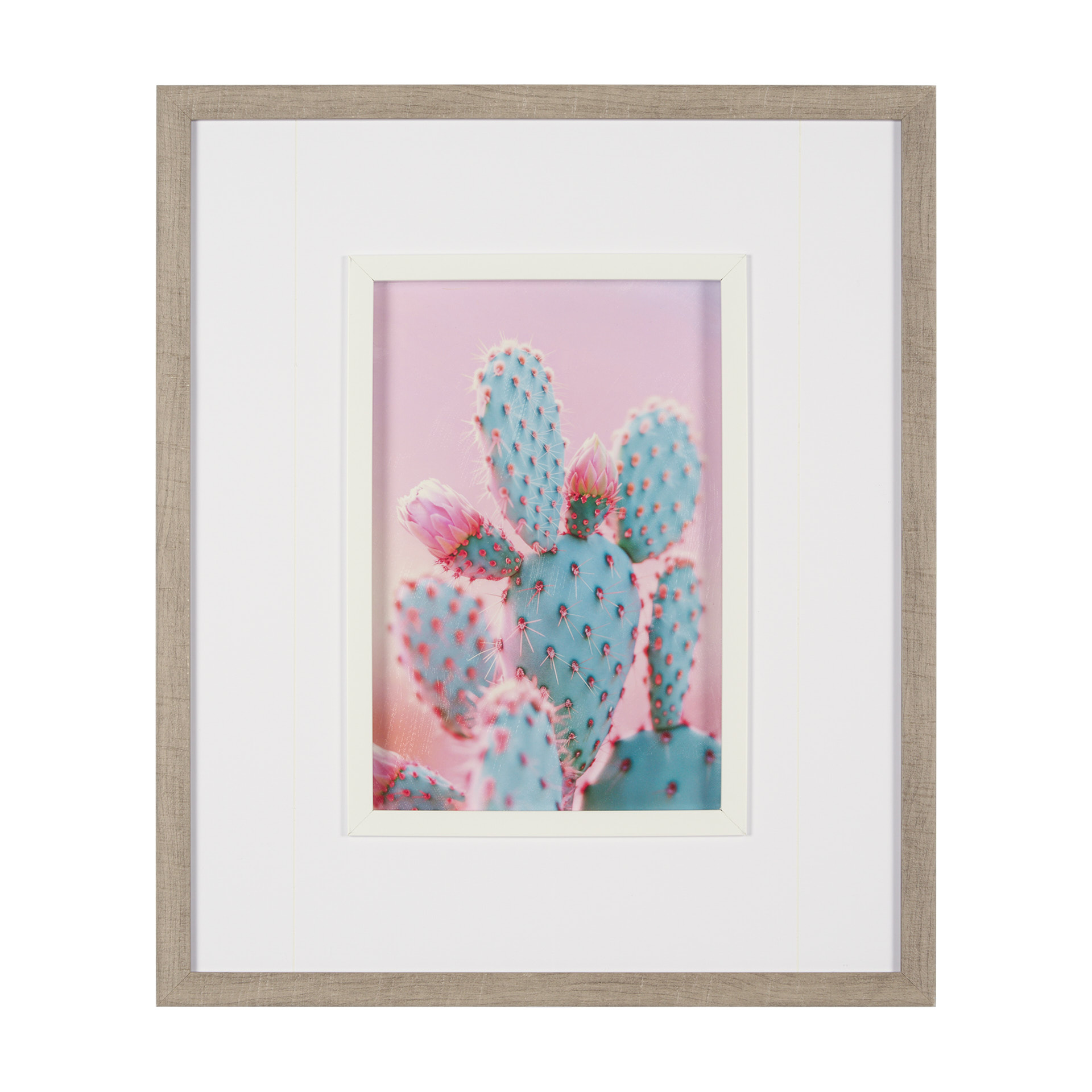 Blush Botanicals - Prickles (22 x 26)