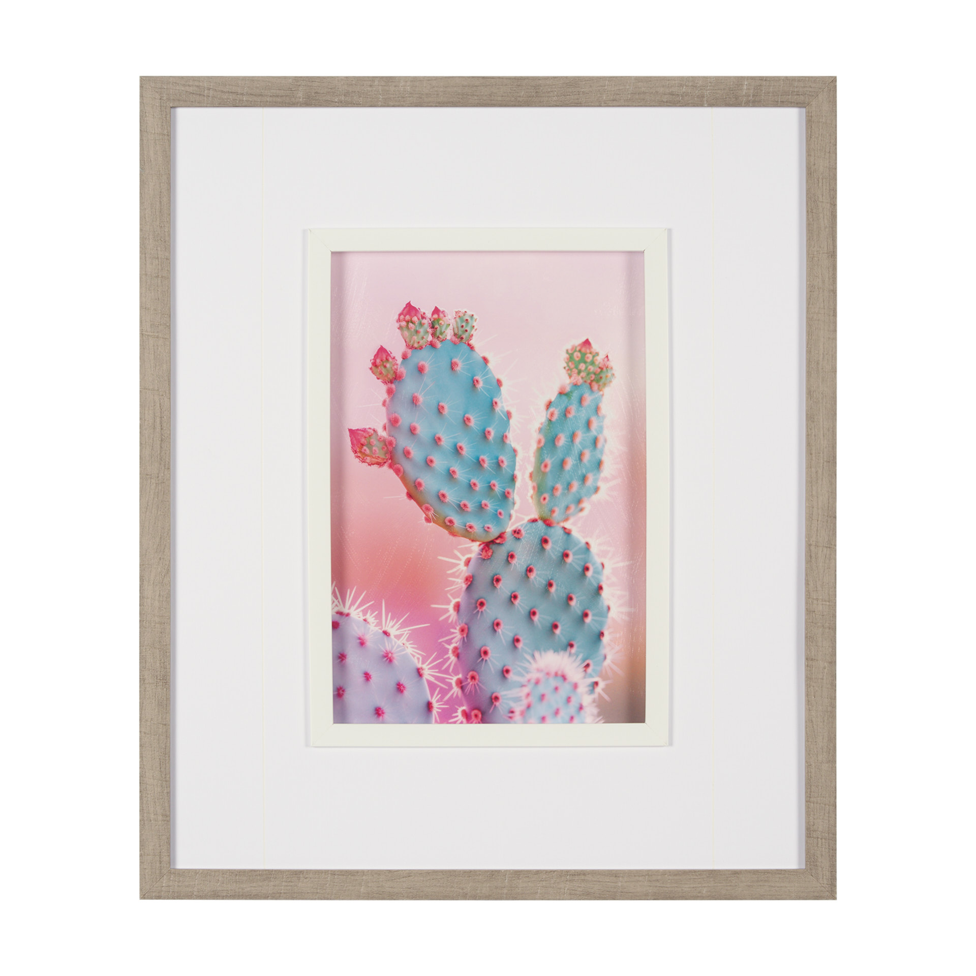 Blush Botanicals - Spines (22 x 26)