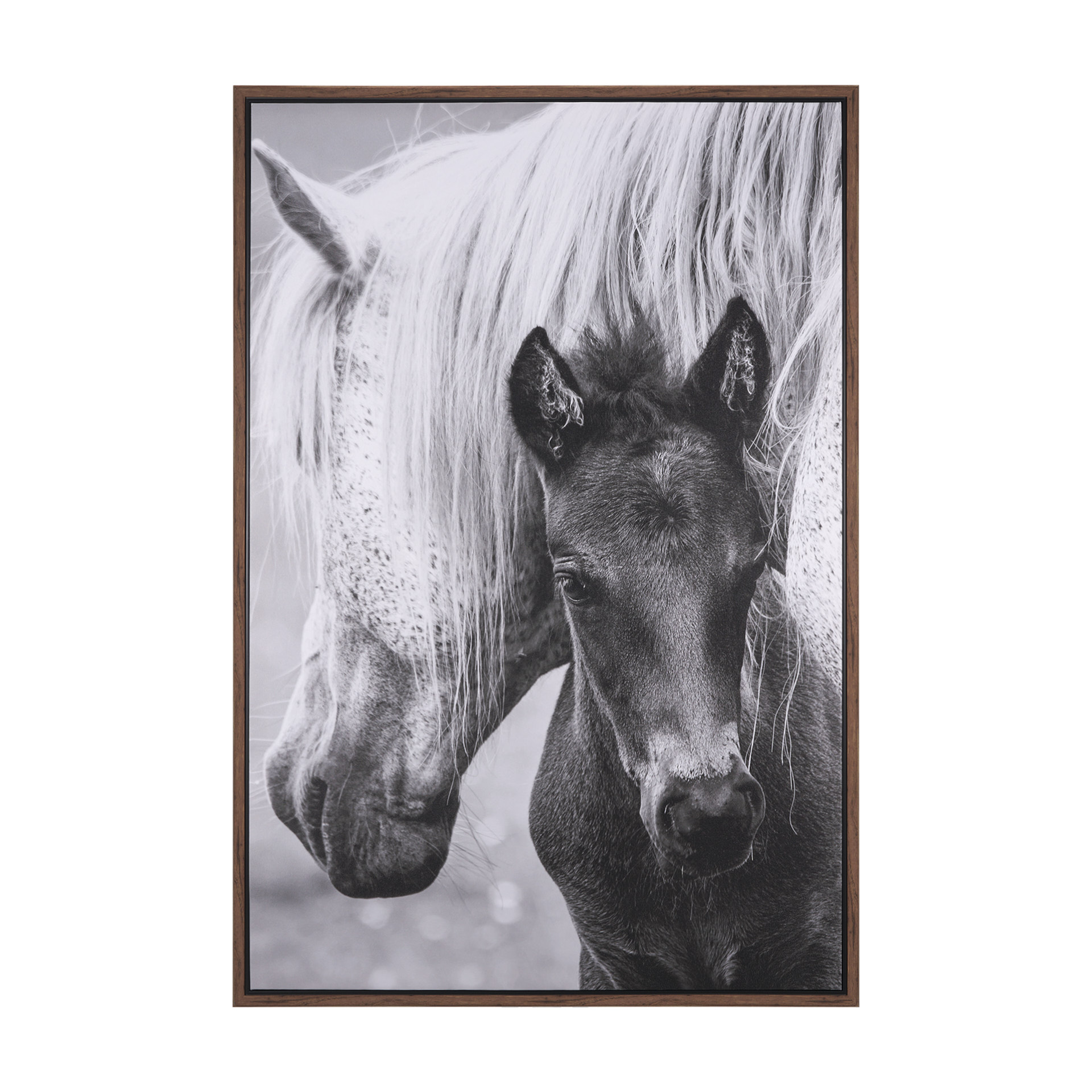 The Foal (47 x 69)