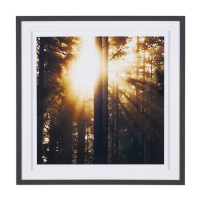 9162 - Woodland Glow by Andreas Stridsberg a Hand Embelished Textured Framed Art Photo Matted under Glass