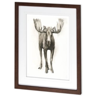10024 - Majestic Wildlife I by Grace Popp a Framed Art Print Matted under Glass