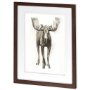 10024 - Majestic Wildlife I by Grace Popp a Framed Art Print Matted under Glass