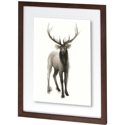 10025 - Majestic Wildlife II by Grace Popp a Framed Art Print Matted under Glass