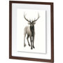 10025 - Majestic Wildlife II by Grace Popp a Framed Art Print Matted under Glass