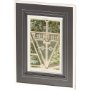 10075 - Plan De La Villa Negroni by Mercana Studio a Framed Art Print Matted under Glass