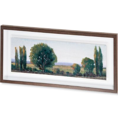 10097 - Panoramic Treeline I by Tim OToole a Framed Art Print Matted under Glass
