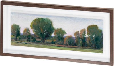 10098 - Panoramic Treeline II by Tim OToole a Framed Art Print Matted under Glass