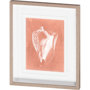 10104 - Sealife on Coral I by Vision Studio a Hand Embellished Textured Framed Art Print Matted under Glass