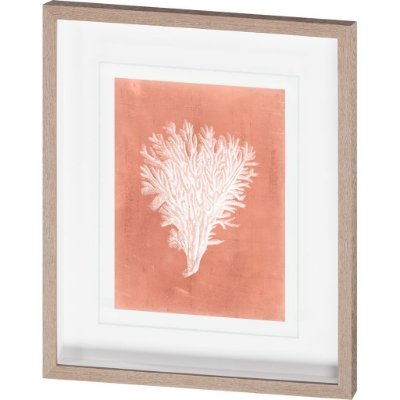 10105 - Sealife on Coral II by Vision Studio a Hand Embellished Textured Framed Art Print Matted under Glass