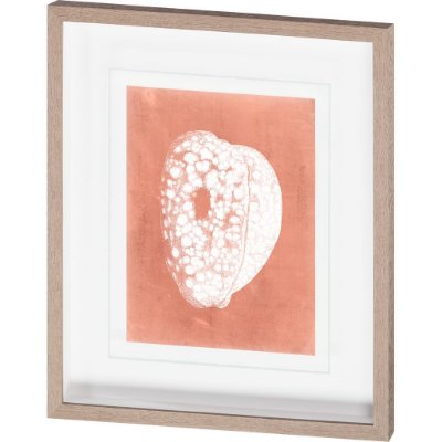 10106 - Sealife on Coral III by Vision Studio Hand Embellished Textured Framed Art Print Matted under Glass