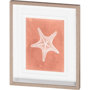10107 - Sealife on Coral IV by Vision Studio a Hand Embellished Textured Framed Art Print Matted under Glass