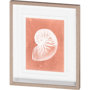 10108 - Sealife on Coral V by Vision Studio a Hand Embellished Textured Framed Art Print Matted under Glass
