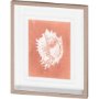 10109 - Sealife on Coral VI by Vision Studio a Hand Embellished Textured Framed Art Print Matted under Glass