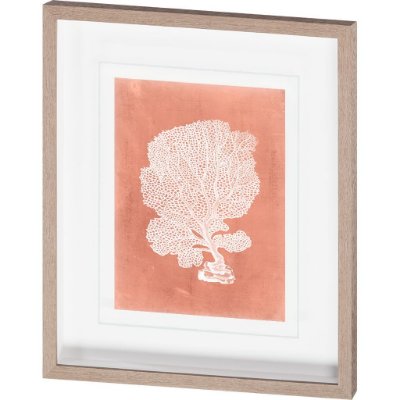 10111 - Sealife on Coral VIII by Vision Studio Hand Embellished Textured Framed Art Print Matted under Glass