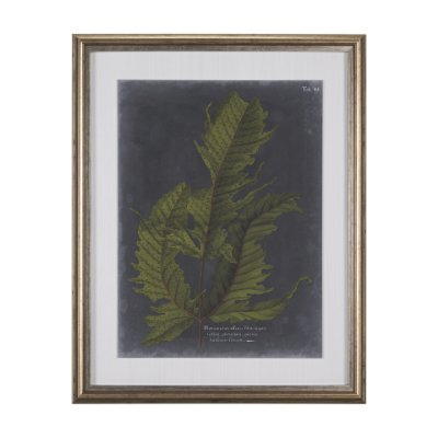 10132 - Foliage Dramatique I by Vision Studio Hand Embellished Textured Framed Art Print Matted under Glass