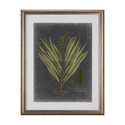 10133 - Foliage Dramatique II by Vision Studio Hand Embellished Textured Framed Art Print Matted under Glass