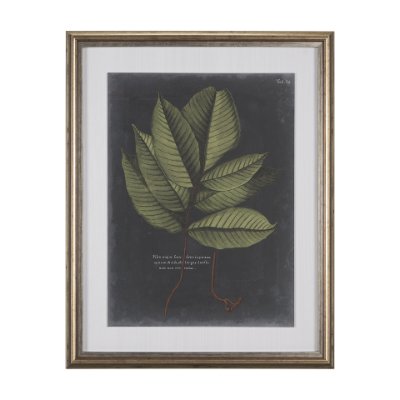 10134 - Foliage Dramatique III by Vision Studio Hand Embellished Textured Framed Art Print Matted under Glas