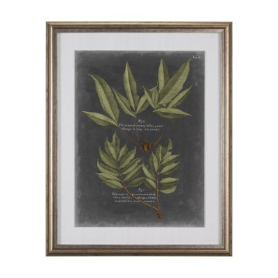10135 - Foliage Dramatique IV by Vision Studio Hand Embellished Textured Framed Art Print Matted under Glass