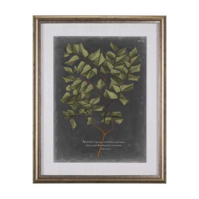 10136 - Foliage Dramatique V by Vision Studio Hand Embellished Textured Framed Art Print Matted under Glass
