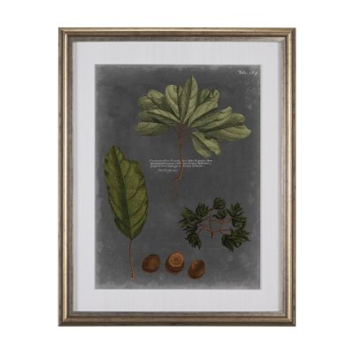 10137 - Foliage Dramatique VI by Vision Studio Hand Embellished Textured Framed Art Print Matted under Glass