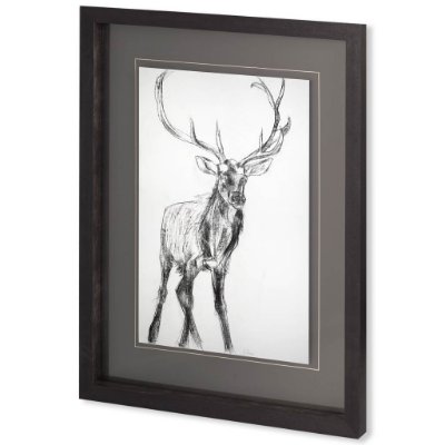 10287 - Young Elk by Harvey, Brenna a Framed Art Print Matted under Glass