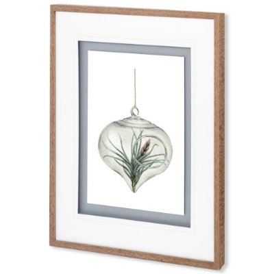 10295 - Air Plant 4 by Harvey, Brenna a Framed Art Print Matted under Glass