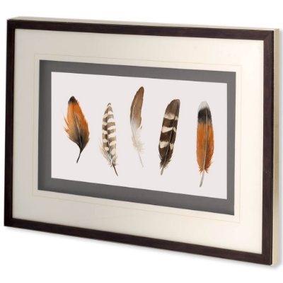 10406 - Red Rock Feathers I by Grace Popp a Hand Embellished Textured Framed Art Print Matted under Glass
