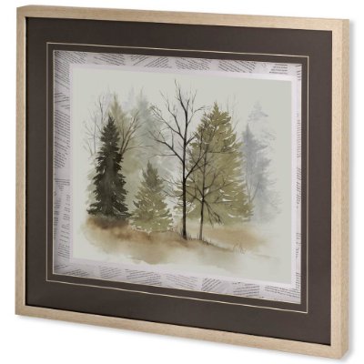 10453 - In the Mist I by Grace Popp a Framed Art Print Matted under Glass