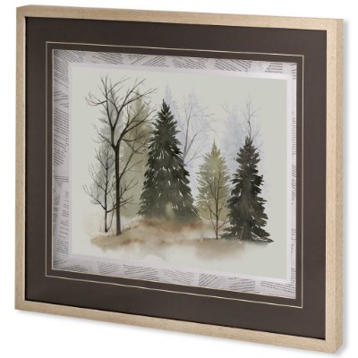 10454 - In the Mist II by Grace Popp a Framed Art Print Matted under Glass