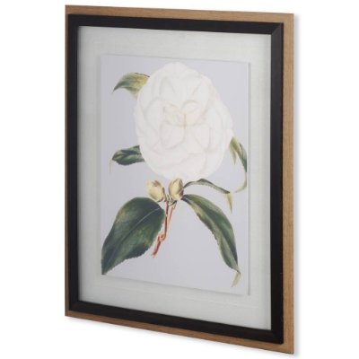 10569 - Camellia Japonica I by Vision Studio a Hand Embellished Textured Framed Art Print Matted under Glass