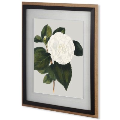 10570 - Camellia Japonica II by Vision Studio Hand Embellished Textured Framed Art Print Matted under Glass