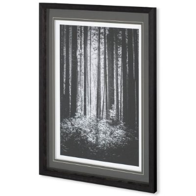 10572 - Lowland Winter Forest No 13, Tiger Mountain by Bisig, Steve a Framed Photo Art Print Matted under Gl