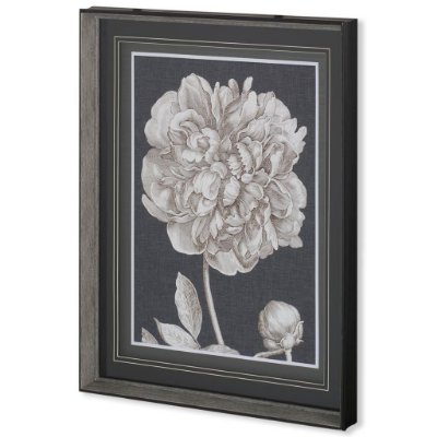 10593 - Dramatic Peony I by Vision Studio a Hand Embellished Textured Framed Art Print Matted under Glass