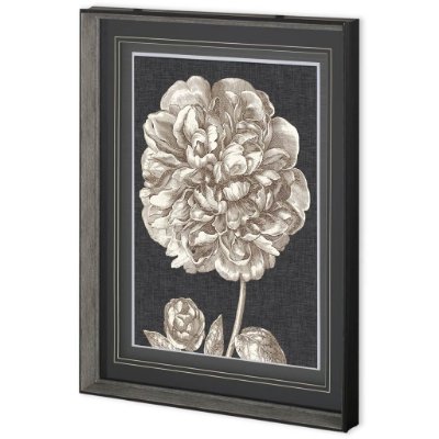 10594 - Dramatic Peony II by Vision Studio a Hand Embellished Textured Framed Art Print Matted under Glass