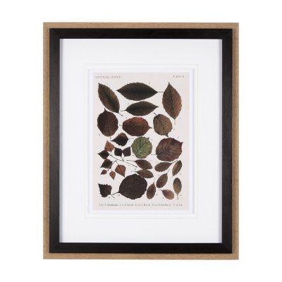 10685 - Autumnal Leaves VI by Vision Studio a Framed Art Print Matted under Glass